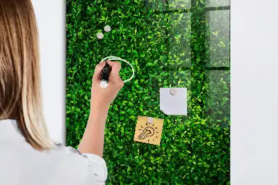Magnetic dry erase board with leaves hedge design