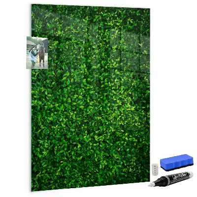 Magnetic dry erase board with leaves hedge design