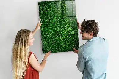 Magnetic dry erase board with leaves hedge design