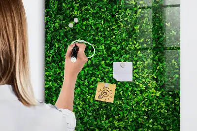 Magnetic dry erase board with leaves hedge design