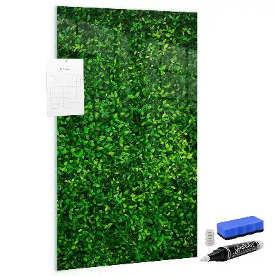 Magnetic dry erase board with leaves hedge design