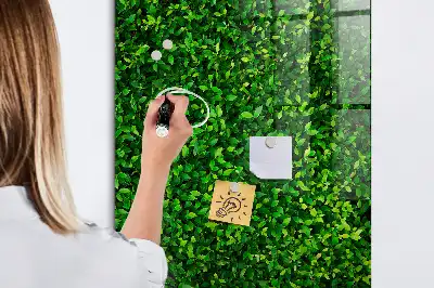 Magnetic dry erase board with leaves hedge design