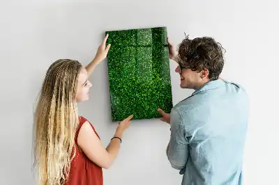 Magnetic dry erase board with leaves hedge design