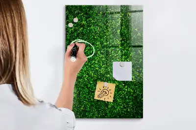 Magnetic dry erase board with leaves hedge design