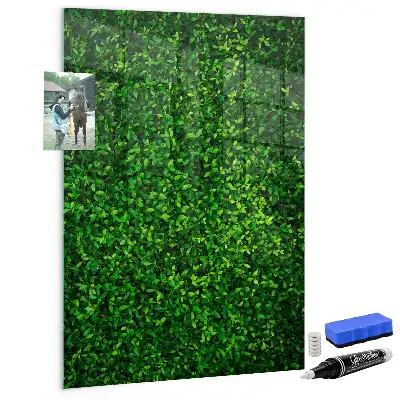 Magnetic dry erase board with leaves hedge design