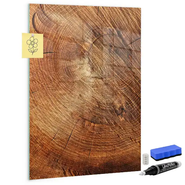 Magnetic dry erase board tree trunk cross-section design