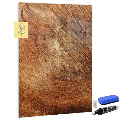 Magnetic dry erase board tree trunk cross-section design