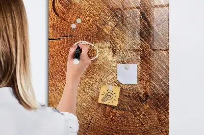 Magnetic dry erase board tree trunk cross-section design