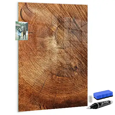 Magnetic dry erase board tree trunk cross-section design