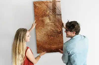 Magnetic dry erase board tree trunk cross-section design