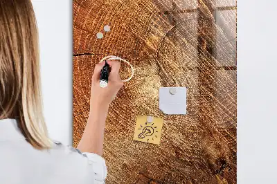 Magnetic dry erase board tree trunk cross-section design