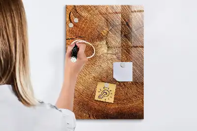 Magnetic dry erase board tree trunk cross-section design