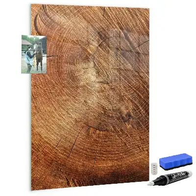 Magnetic dry erase board tree trunk cross-section design