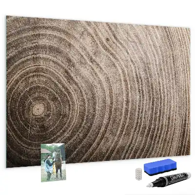 Magnetic dry erase board tree trunk design