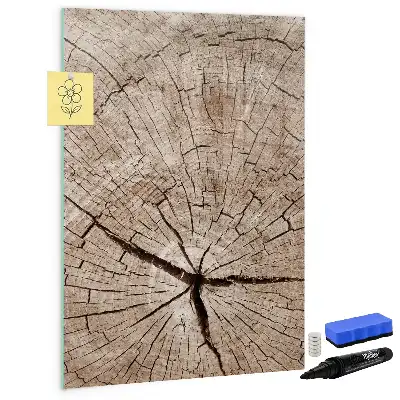 Magnetic dry erase board with a tree trunk cross-section design