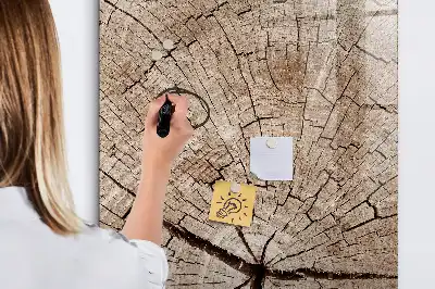 Magnetic dry erase board with a tree trunk cross-section design