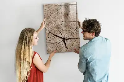 Magnetic dry erase board with a tree trunk cross-section design