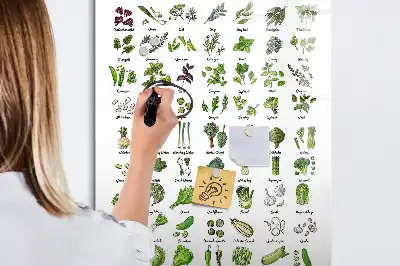 Magnetic writing board green vegetable design