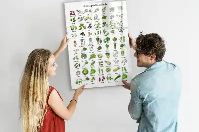 Magnetic writing board green vegetable design