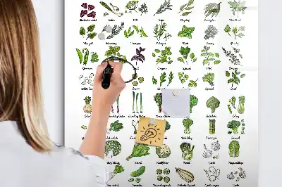 Magnetic writing board green vegetable design