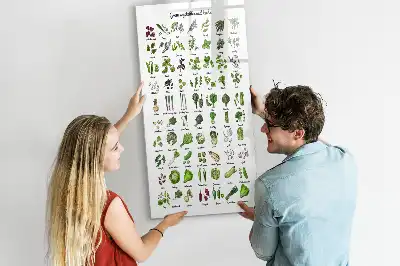 Magnetic writing board green vegetable design