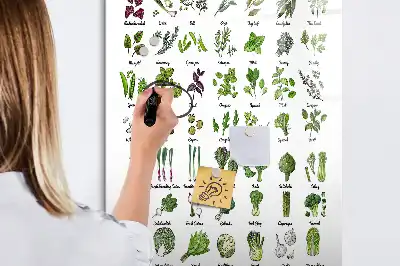 Magnetic writing board green vegetable design