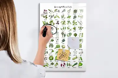 Magnetic writing board green vegetable design