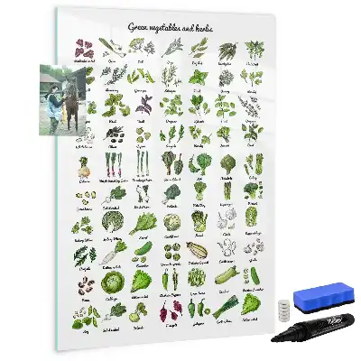 Magnetic writing board green vegetable design