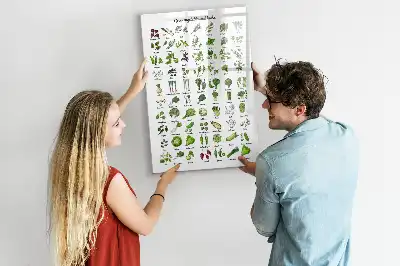 Magnetic writing board green vegetable design