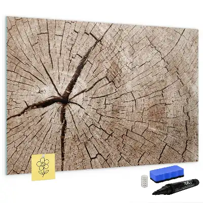 Magnetic glass dry erase board with old tree trunk design