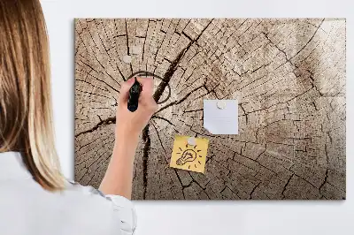 Magnetic glass dry erase board with old tree trunk design