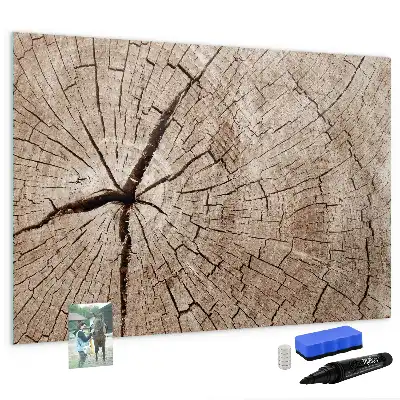 Magnetic glass dry erase board with old tree trunk design