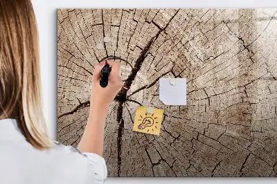 Magnetic glass dry erase board with old tree trunk design