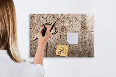 Magnetic glass dry erase board with old tree trunk design