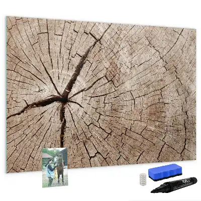 Magnetic glass dry erase board with old tree trunk design