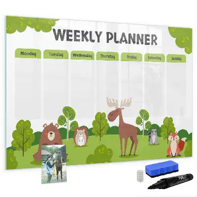 Magnetic glass dry erase board with timetable layout