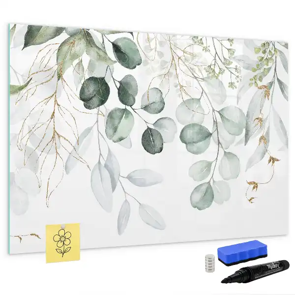 Magnetic glass dry erase board for climbing plants