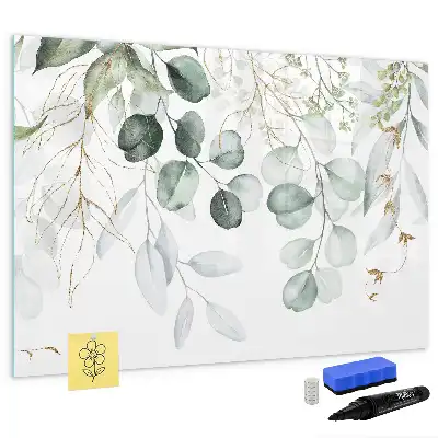 Magnetic glass dry erase board for climbing plants