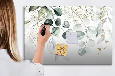 Magnetic glass dry erase board for climbing plants