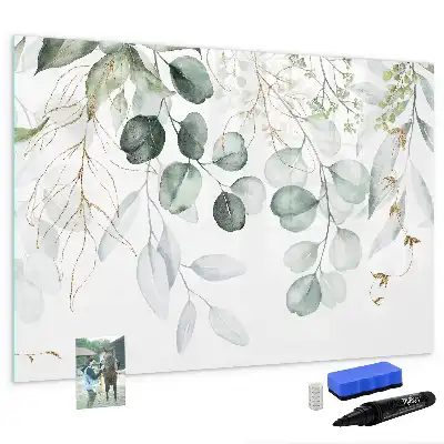 Magnetic glass dry erase board for climbing plants