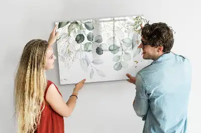 Magnetic glass dry erase board for climbing plants