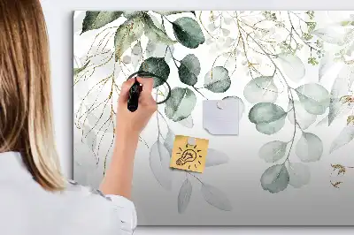 Magnetic glass dry erase board for climbing plants