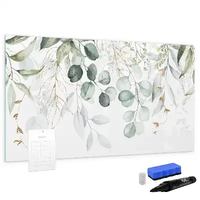 Magnetic glass dry erase board for climbing plants