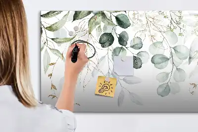 Magnetic glass dry erase board for climbing plants
