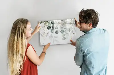 Magnetic glass dry erase board for climbing plants