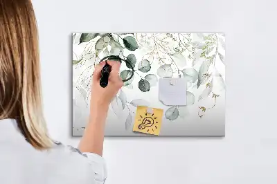 Magnetic glass dry erase board for climbing plants