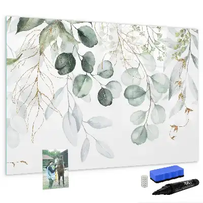 Magnetic glass dry erase board for climbing plants
