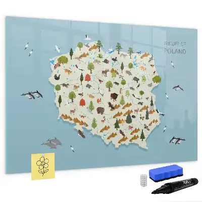 Magnetic glass dry erase board featuring a map of Poland with animal illustrations