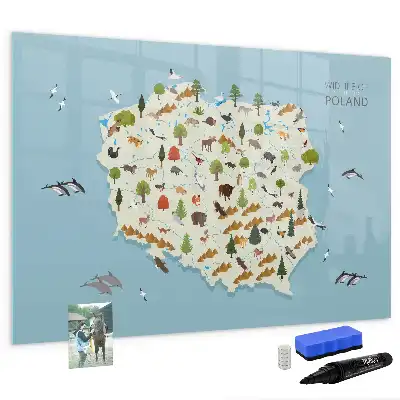 Magnetic glass dry erase board featuring a map of Poland with animal illustrations