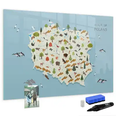 Magnetic glass dry erase board featuring a map of Poland with animal illustrations